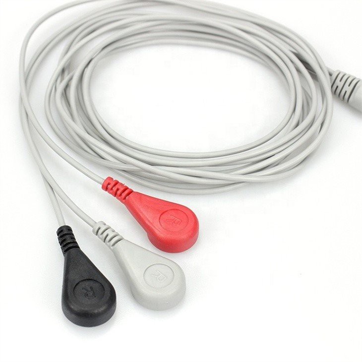 ECG-2